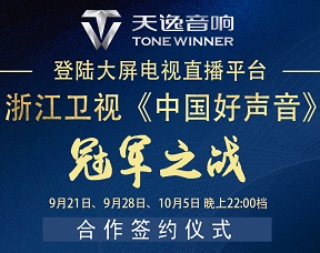 天逸音響網站建設